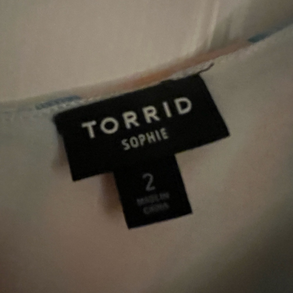 Torrid Multicolor Striped Camisole - Picture 2 of 2